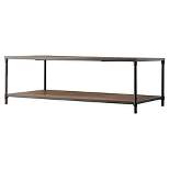 Webster Mixed Media Coffee Table Black - Inspire Q