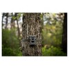 Spypoint Flex M Twin Pack 28MP Cellular Trail Cameras with 2x32GB Memory Bundle - 3 of 4
