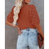 Womens Short Sleeve Lightweight Sweaters Crewneck Knit Pullover Tops with Crochet Sleeve Casual Crochet Blouse Shirt for Spring, Summer - 3 of 4
