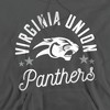 Virginia Union University Official Panthers Adult Pull-Over Hoodie - 2 of 4