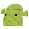 Shrek Costume Beanie Green Ogre Character Face Cuff Knit Beanie Hat w/ 3D Ears - 3 of 4