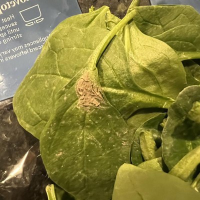 Steam-in-bag Spinach - 9oz - Good & Gather™ : Target