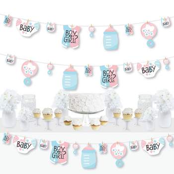 Big Dot of Happiness Baby Gender Reveal - Team Boy or Girl Party DIY Decorations - Clothespin Garland Banner - 44 Pieces