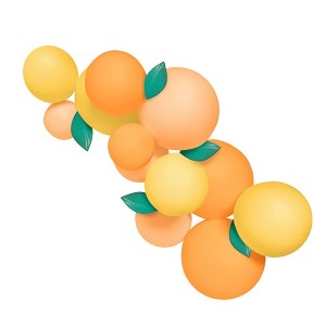 MINNIDIP Balloon Garland 12 Cluster in Citrus : Target