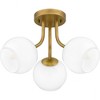 Quoizel Lighting Oberlin 3 - Light Semi-Flush Mount in  Weathered Brass - 4 of 4