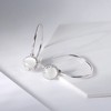 Drop Hook Earrings for Women Sterling Silver Cubic Zirconia Charm Ginger Lyne Collection - 4 of 4