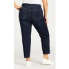 Avenue Women's Plus Size Petite Hi Rise Straight Jegging - 3 of 4