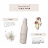 Shibui Peptide Polish Anti Humidity Treatment | Enhances and Helps Protec Color | For All Hair Types | Forms Anti-humidity Shield on Hair - (6.5 oz) - 2 of 4