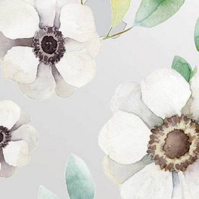 Anemone Flowers White