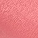salmon rose