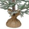 Northlight 3 FT Snow Covered Slim Pine Artificial Christmas Tree with Jute Base - Unlit - 4 of 4