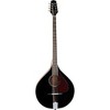 Trinity College TM-375 Standard Irish Bouzouki - 3 of 4