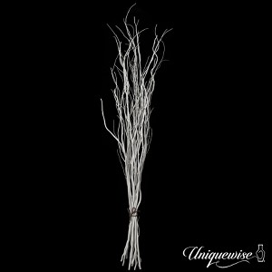 Uniquewise Natural Decorative Dry Branches Authentic Willow Sticks for Home Decoration and Wedding Craft - 1 of 4