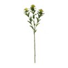 Thistle Spray Set Of 6 Green 34.75 Inch Faux Stems for Indoor Arrangements By Melrose - 3 of 3