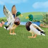 Collections Etc Realistic Mallard Ducks Outdoor Garden Stake Set NO SIZE - 2 of 2