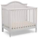 Delta Children Parker Mini Convertible Baby Crib with Mattress and 2 Sheets