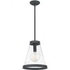 Quoizel Lighting Bristol 1 - Light Pendant in  Mottled Black - 3 of 4