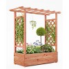 Raised Garden Bed With Trellis, Wood Planter Box With Side Trellis, Hanging Roof, and Drainage Holes, for Climbing Plants, Vines, Flowers - 2 of 4