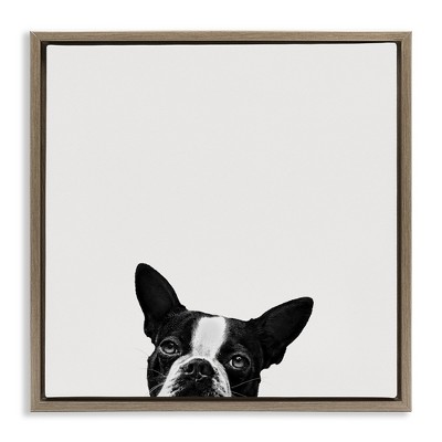 Stupell Industries Dog Peeking From Below, 25" x 25"