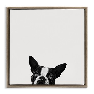 Stupell Industries Dog Peeking From Below, 25" x 25" - 1 of 4