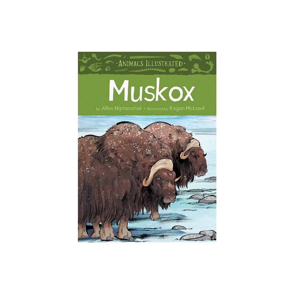 Animals Illustrated: Muskox - by Allen Niptanatiak (Hardcover)