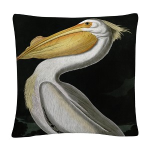 John James Audubon  16 x 16 Decorative Throw Pillow by Trademark Fine Art - 1 of 4