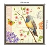 Amanti Art Birds and Bees I by Daphne Brissonnet Canvas Wall Art Print Framed 16-in. x 16-in. - 4 of 4