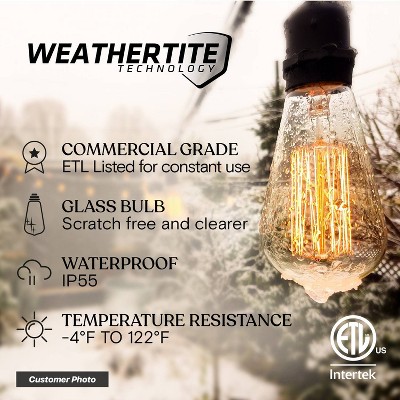 Brightech 48ft Black Outdoor Incandescent Globe String Lights