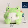 Itzy Ritzy Sweetie Snuggles Plush Stuffed Animal - Frog - 4 of 4