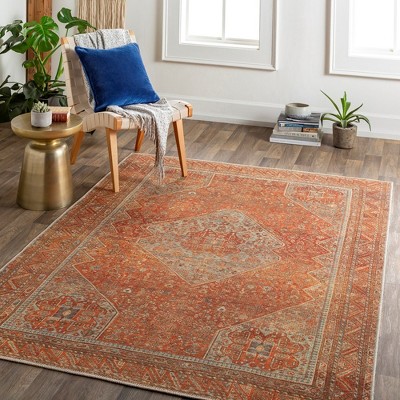 Kontea Burnt Orange Wool Chenille Runner Rug 2'7" x 7'10"