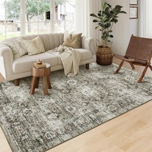 Acekool Vintage Area Rug, Washable Soft Low Pile Non Slip Carpet for Bedroom Living Room, Easy Care Retro Indoor Decor - 1 of 4