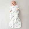 Kyte Baby Sleep Bag Wearable Blanket 1.0 Tog - 2 of 4