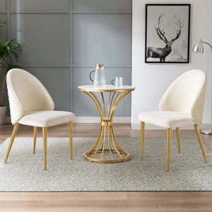 Set of 2 Stainless Steel Dining Chairs, Armless Chair with PU Leather Backrest for Kitchen, Velvet Upholstered Dining Side Chair-Koiai - 1 of 4