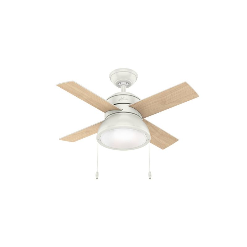 36" Loki Ceiling Fan (Includes LED Light Bulb) - Hunter Fan, 1 of 12