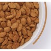 Nutro Ultra Superfood Plate Weight Management Vegetable, Lamb, Chicken and Salmon Flavor Dry Dog Food - 4 of 4