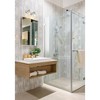 Harper 2-Light Vanity Bath Light - Dimmable Steel Fixture with Clear Glass Shades - 4 of 4
