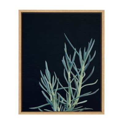 18" x 24" Sylvie Succulent 16 Framed Canvas by F2 Images Natural - Kate and Laurel