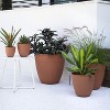 Bloem Dayton Round Resin Planter Pot Indoor and Outdoor Gardening - 2 of 4