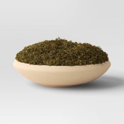 Faux Moss Bowl - Threshold™