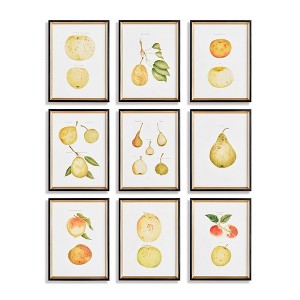 Plum & Post 11.75"W x 0.75" x 15.75"H Assorted Fruits Study Framed Wall Art Set of 9 - 1 of 3