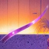 Lit LED Strip Lights - Amber - image 4 of 4
