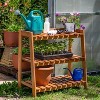 Sunnydaze Outdoor Meranti Wood with Teak Oil Finish 3-Tiered Decorative Succulent Flower Plant Shelf Stand - 35" - Brown - 4 of 4