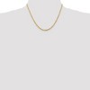 Black Bow Jewelry 2.75mm, 14k Yellow Gold Light Diamond Cut Rope Chain Necklace - 2 of 4