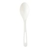 World Centric Compostable Spoons - Case of 12/24 ct - 3 of 3