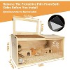 Coucheta Wooden Hamster Cages - Indoor Habitats with Acrylic Viewing Windows & Openable Tops for Gerbils, Mice & Syrian Hamsters in Multiple Sizes - 4 of 4