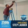 Werner 6 ft. H Fiberglass Step Ladder Type I 250 lb. capacity - 2 of 4