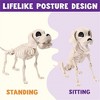 Joyfy 9.8’’ Halloween Posable Dog Skeleton, Full Body Puppy Skeleton with Movable Joints for Halloween Graveyard Haunted House Party Decoration - 4 of 4