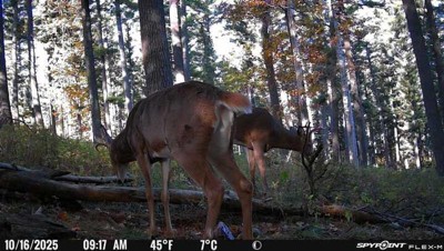 Guest review image 1 of 2, zoom in