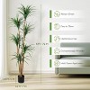 Orieon 6ft Artificial Dracaena Tree, Realistic Fake Dracaena Plant, Adjustable Branches with Weighted Base, Lifelike Faux Tree for Living Room Office - 2 of 4