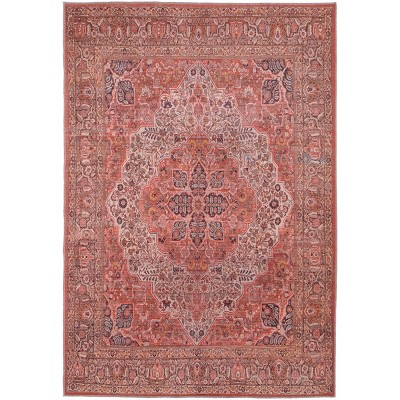 Rawlins Transitional Medallion Red/Tan/Pink Area Rug